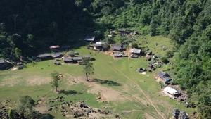 Moc Chau Winter Guide: 5 Must-Visit Check-in Spots - image 3