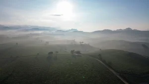 Moc Chau Winter Guide: 5 Must-Visit Check-in Spots - image 4