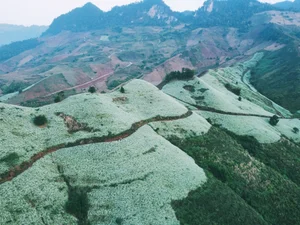 Moc Chau Winter Guide: 5 Must-Visit Check-in Spots - image 9