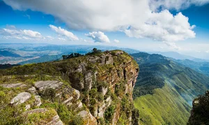 Moc Chau Winter Guide: 5 Must-Visit Check-in Spots - image 6
