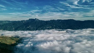 Moc Chau Winter Guide: 5 Must-Visit Check-in Spots - image 8