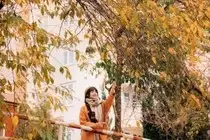 Sapa's Golden Empress Persimmon Tree: A Winter Wonderland for Tourists to Check-in - image 3