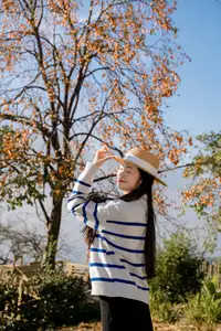 Sapa's Golden Empress Persimmon Tree: A Winter Wonderland for Tourists to Check-in - image 1