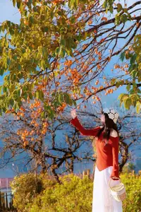 Sapa's Golden Empress Persimmon Tree: A Winter Wonderland for Tourists to Check-in - image 0