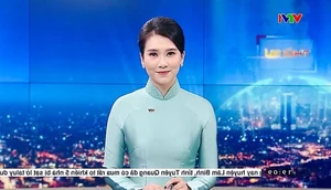 Discover the Elegant Beauty of VTV’s Private and Captivating Female Television Host Making Waves Online - image 7