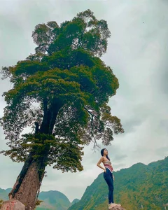 Huyen Trang Explores the Majestic Beauty of Ha Giang, Vietnam - image 18