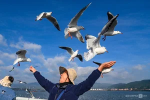 China's Stunning Winter Migration: Tens of Thousands of Birds Gather at Scenic Lakes - image 7