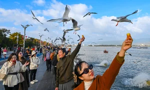 China's Stunning Winter Migration: Tens of Thousands of Birds Gather at Scenic Lakes - image 4