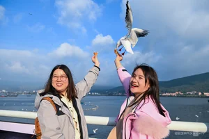 China's Stunning Winter Migration: Tens of Thousands of Birds Gather at Scenic Lakes - image 2