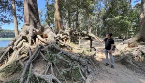 Ancient Giant Trees and Mystical Roots at Ao Ba Om Heritage Site in Tra Vinh - image 3