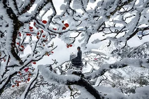 Breathtaking Frost in Vietnam: A Winter Wonderland Reminiscent of Europe - image 8