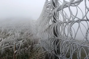 Breathtaking Frost in Vietnam: A Winter Wonderland Reminiscent of Europe - image 4