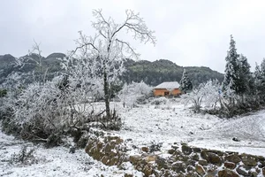 Breathtaking Frost in Vietnam: A Winter Wonderland Reminiscent of Europe - image 3
