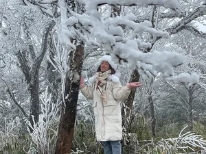 Breathtaking Frost in Vietnam: A Winter Wonderland Reminiscent of Europe - image 7