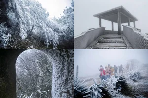 Breathtaking Frost in Vietnam: A Winter Wonderland Reminiscent of Europe - image 6