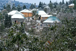 Breathtaking Frost in Vietnam: A Winter Wonderland Reminiscent of Europe - image 9