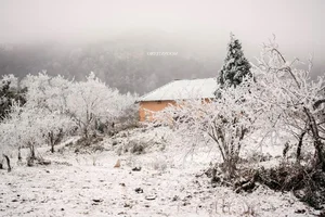 Breathtaking Frost in Vietnam: A Winter Wonderland Reminiscent of Europe - image 1