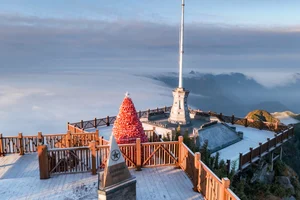 Breathtaking Frost in Vietnam: A Winter Wonderland Reminiscent of Europe - image 0