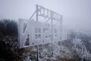 Breathtaking Frost in Vietnam: A Winter Wonderland Reminiscent of Europe - image 2