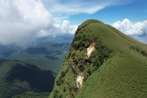 Conquering Pa Thien - Voi Mep: A Breathtaking Trekking Adventure Through Vietnam's Sea of Clouds and Ancient Forests - image 2