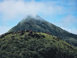 Conquering Pa Thien - Voi Mep: A Breathtaking Trekking Adventure Through Vietnam's Sea of Clouds and Ancient Forests - image 10