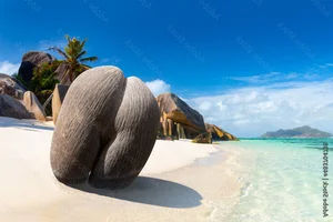 The Rare Coco de Mer: Discovering the World's Most Unique and Suggestive Coconut Species - image 1