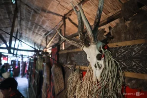 Exploring the Tribal Heritage of Borneo: A Journey into the Heart of Asia's Largest Island - image 0