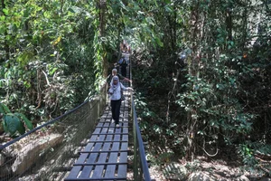 Exploring the Tribal Heritage of Borneo: A Journey into the Heart of Asia's Largest Island - image 4