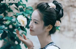 Discover the Elegance of Lu Ban Xian Er in Art Language Vol.4049 by YiTuYu - image 5
