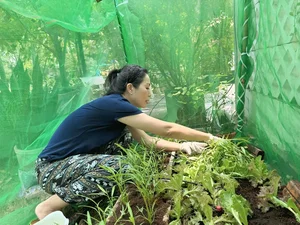 Inside the Lush Organic Garden of People’s Artist Trinh Kim Chi’s Luxury Villa - image 3