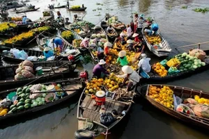 Exploring the Hidden Gems of the Mekong Delta: The Hometown of Nam Em and Hồ Văn Cường - image 1