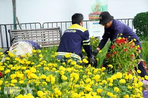 Nguyen Hue Flower Street 2025: The Majestic Snake Mascot Revealed - image 7