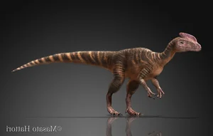 Meet Guanlong: The Bizarre Crested Ancestor of the Tyrannosaurus Rex and the Fascinating Evolution of Prehistoric Predators - image 5