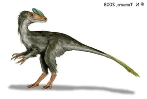 Meet Guanlong: The Bizarre Crested Ancestor of the Tyrannosaurus Rex and the Fascinating Evolution of Prehistoric Predators - image 1