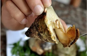 Cellana Shellfish: Discovering the Exotic Delicacy Known as Oc Vu Nang - image 8