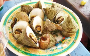 Cellana Shellfish: Discovering the Exotic Delicacy Known as Oc Vu Nang - image 2