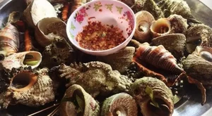 Cellana Shellfish: Discovering the Exotic Delicacy Known as Oc Vu Nang - image 0
