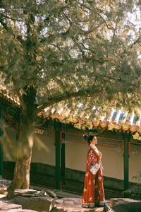 YITUYU Art Language 2024.06.10: Tian Qi in 'Traveling in a Painting' - image 5
