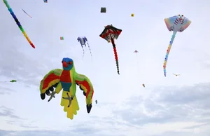 International Kite Festival in Quang Nam: A Sky Full of Colors - image 3