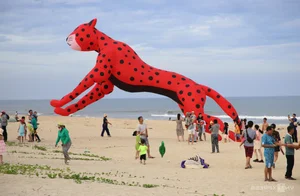 International Kite Festival in Quang Nam: A Sky Full of Colors - image 5