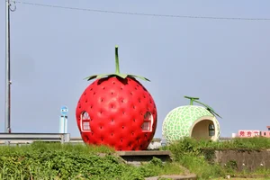World's Most Unique Bus Stops: Exploring Architectural Masterpieces in Urban Transit - image 3