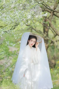 Elegant Visuals in YiTuYu Art Language Vol.4200 Featuring Model Yan Yan - image 22