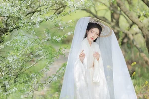 Elegant Visuals in YiTuYu Art Language Vol.4200 Featuring Model Yan Yan - image 23