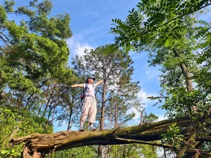 Trekking Ham Lon Mountain: Conquer the Roof of Hanoi and Escape into the Wild Pine Forests - image 4