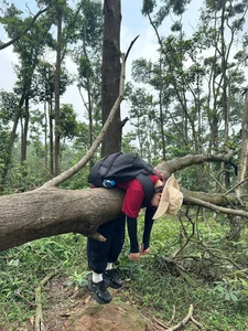 Trekking Ham Lon Mountain: Conquer the Roof of Hanoi and Escape into the Wild Pine Forests - image 1
