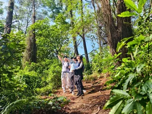 Trekking Ham Lon Mountain: Conquer the Roof of Hanoi and Escape into the Wild Pine Forests - image 6
