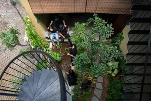 Da Nang's 'Healing House' Where Green Architecture Meets Nature. - image 3