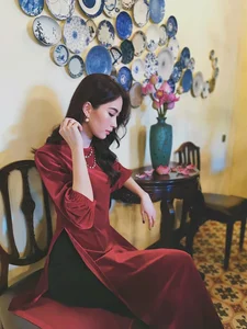 Timeless Elegance: Đặng Thu Thảo Shines in Exquisite Traditional Vietnamese Ao Dai - image 5