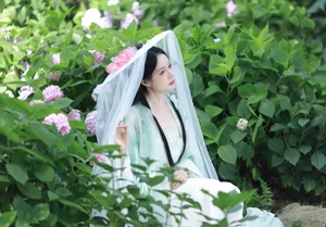 Aesthetic Excellence in Art Language Vol.7327 with Sui Sui Ru Yi - image 5