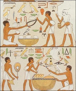 How Ancient Egyptians Measured Time: The Fascinating History of Sundials and Water Clocks - image 0